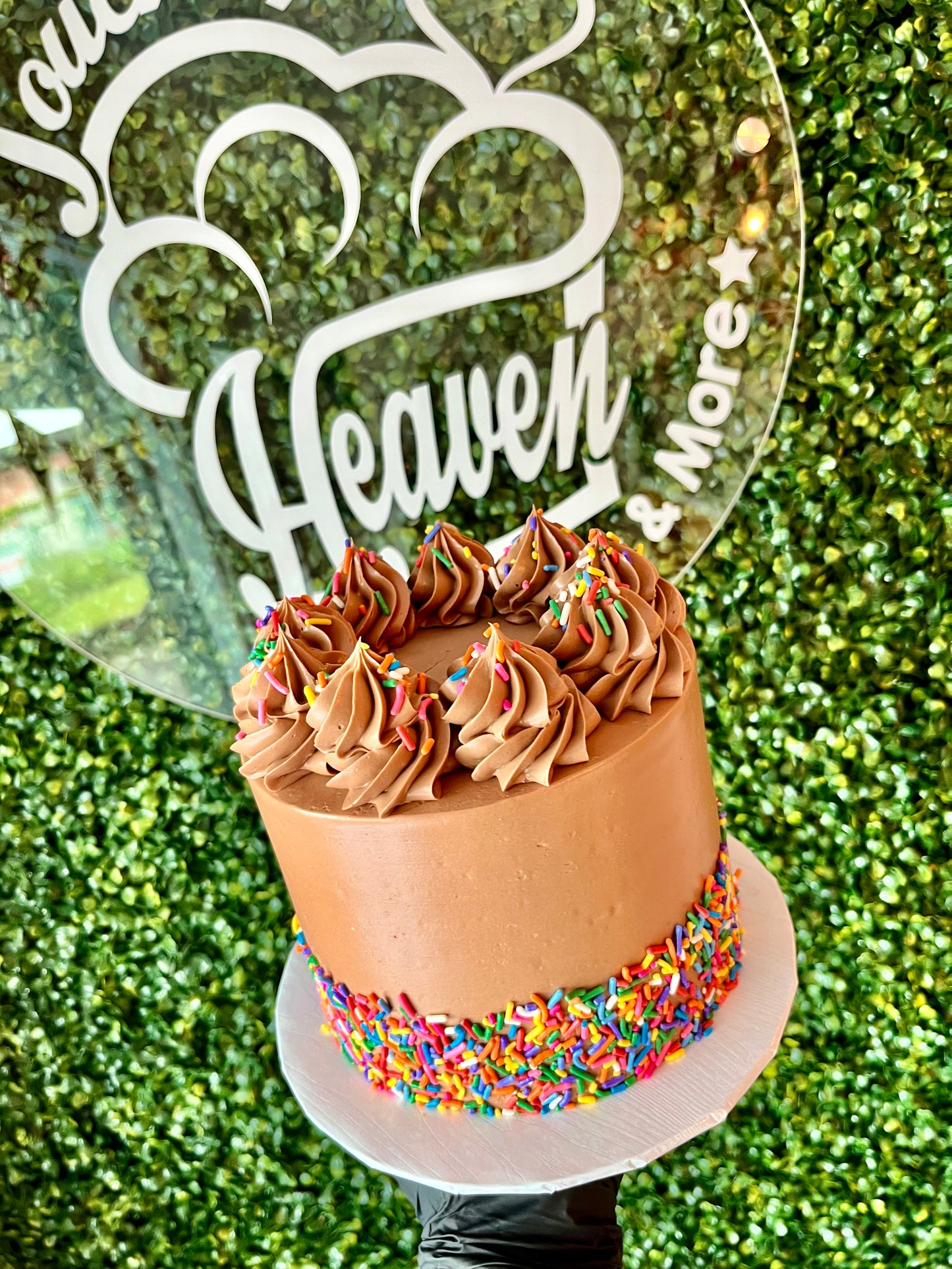 Chocolate Party Cake