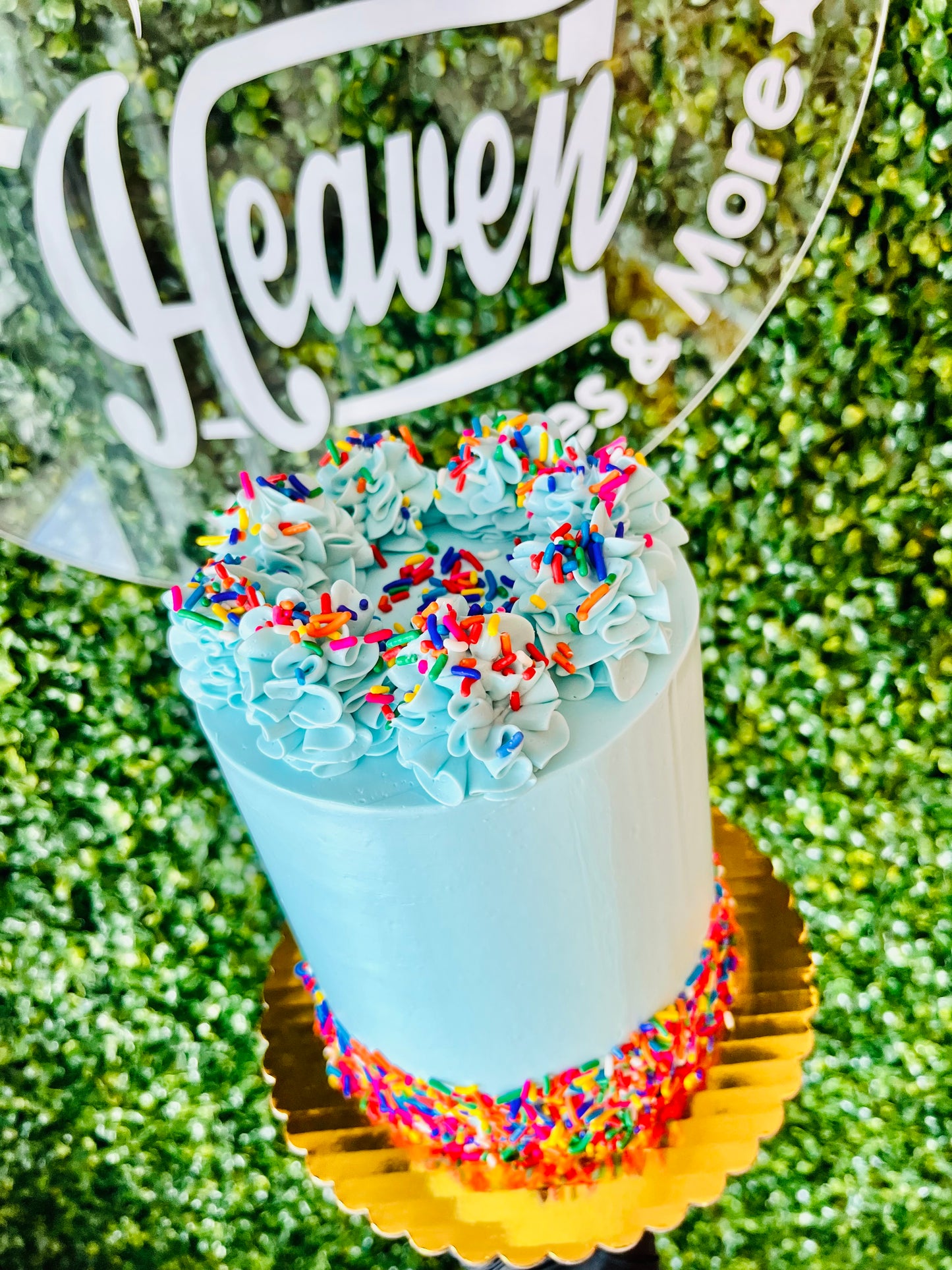 Vanilla Party Cake