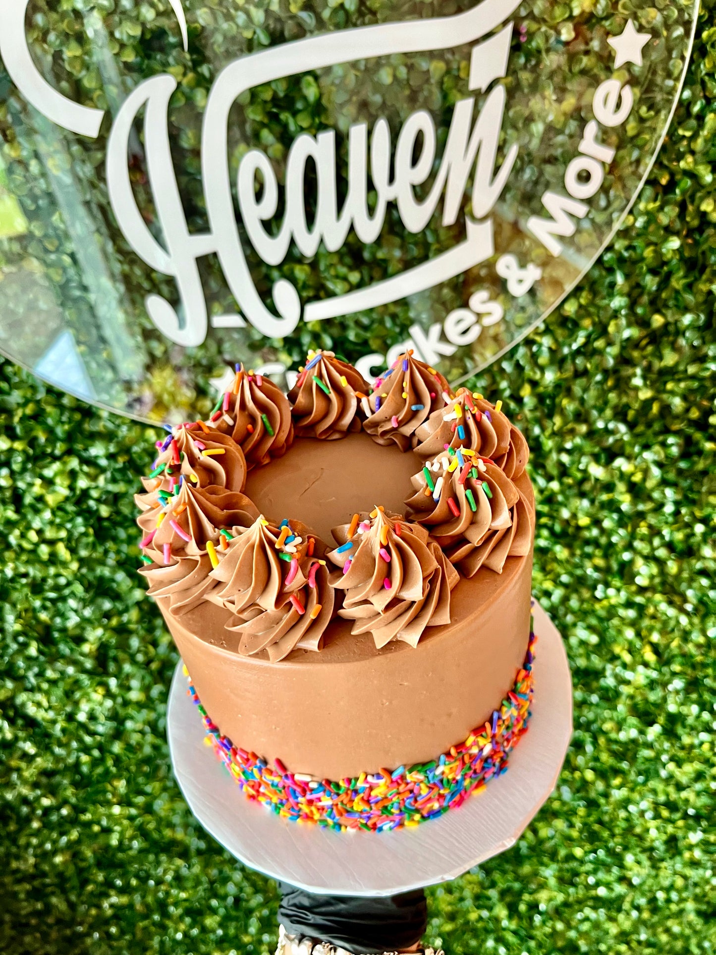 Chocolate Party Cake
